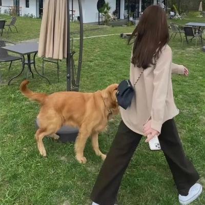 哈里斯夫人闯巴黎